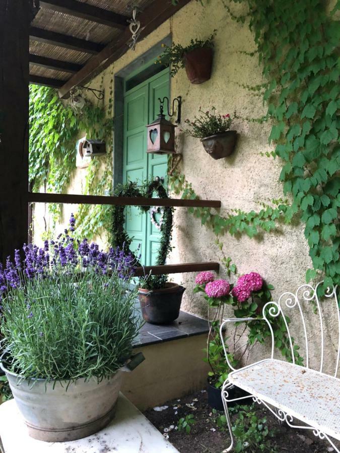 La Casa Del Cuore Stazzema Buitenkant foto